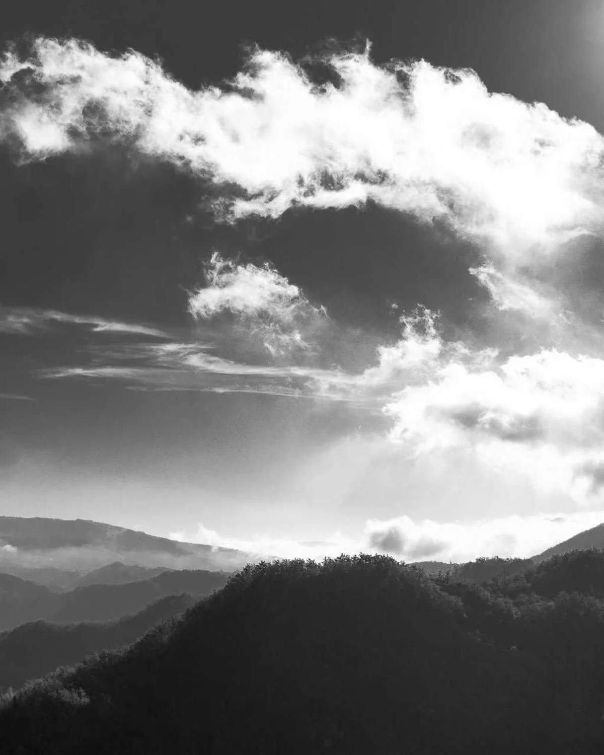 Morgen am Fluss, Öl auf Leinwand